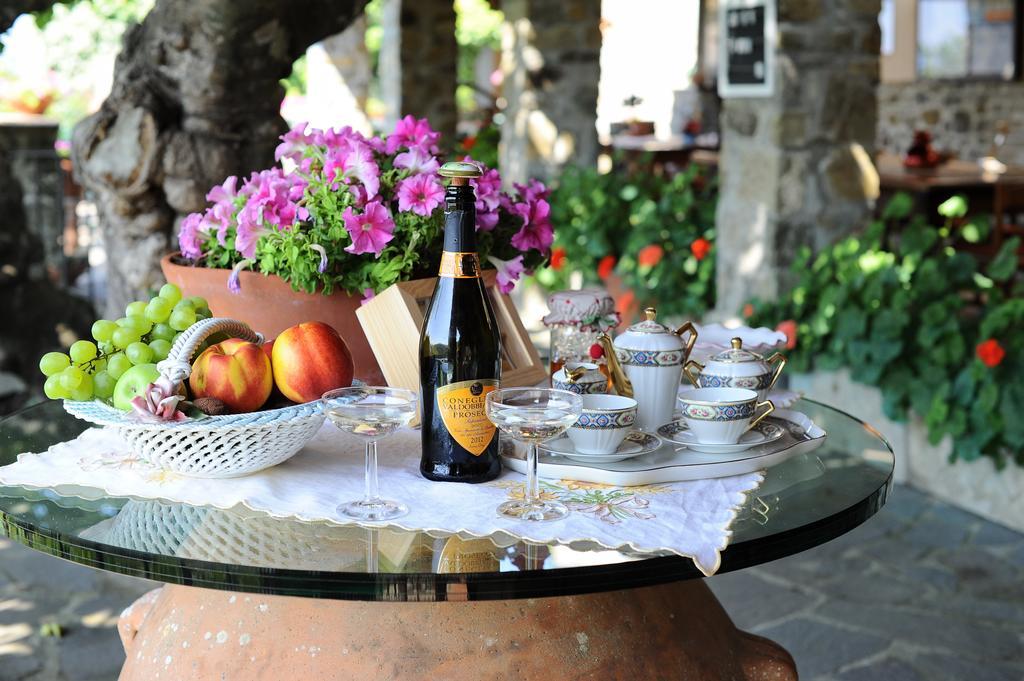 Agriturismo Borgo Mocale Castelfranco di Sopra Eksteriør billede