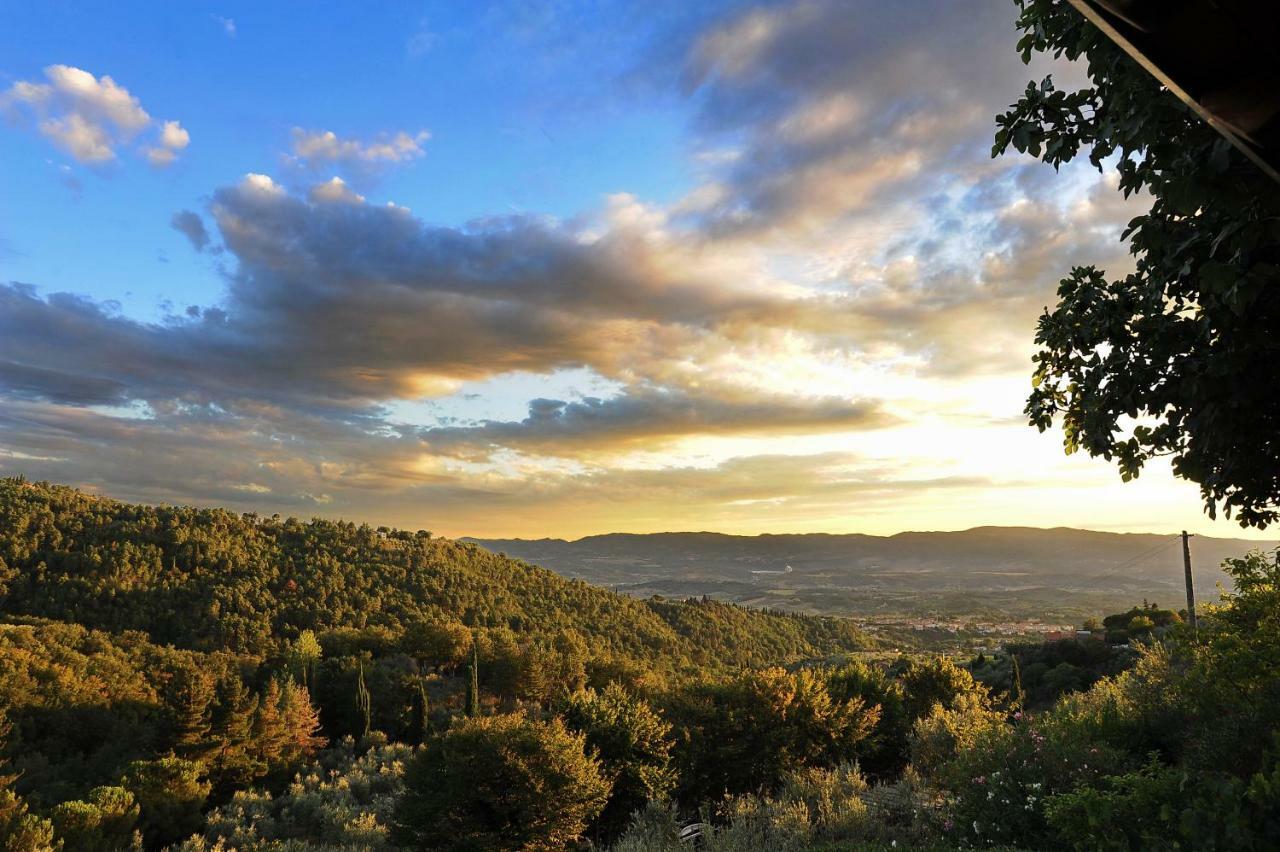 Agriturismo Borgo Mocale Castelfranco di Sopra Eksteriør billede